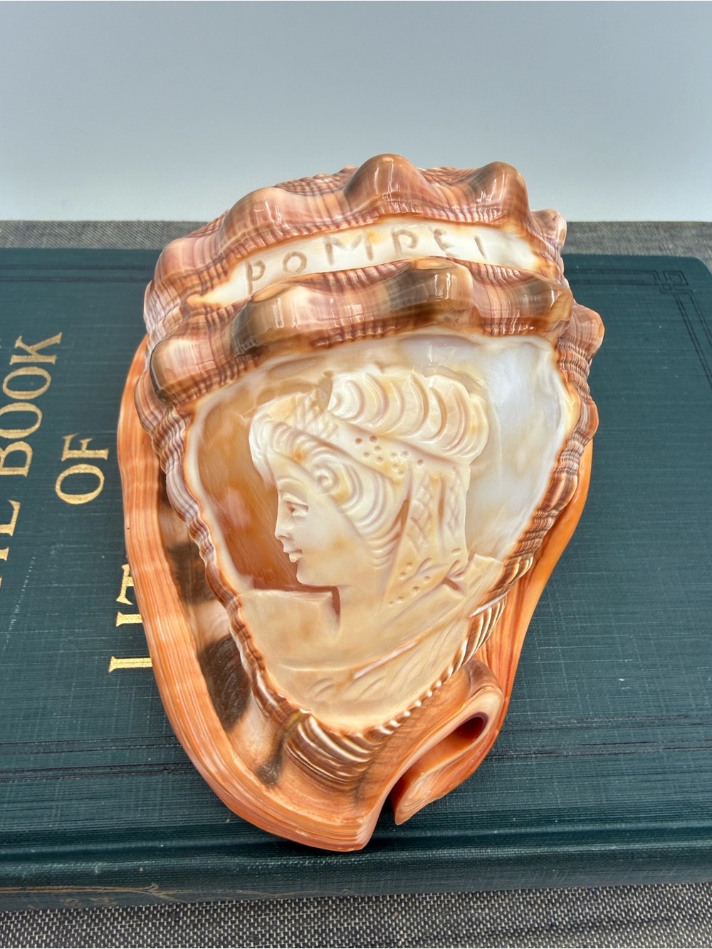VTG Italy Cameo Hand Carved Relief Conch Shell, Victorian Lady Pompei
